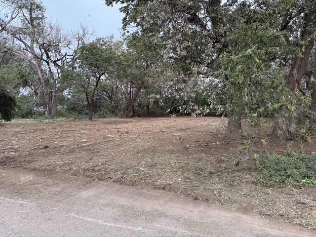 Mature trees left standing with the brush beneath them cleared