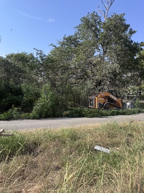 Trees and brush cleared back along a rural roadside