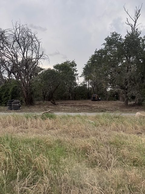 Land clearing partway through, cleared ground meeting untouched brush