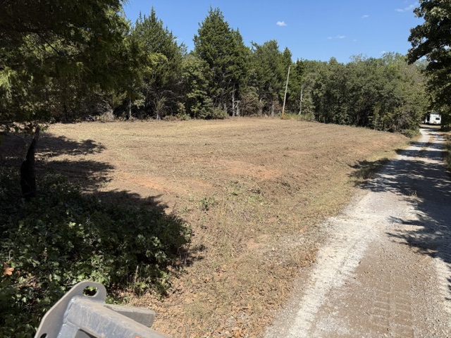 The same roadside lot after forestry mulching, open ground with mulch spread evenly