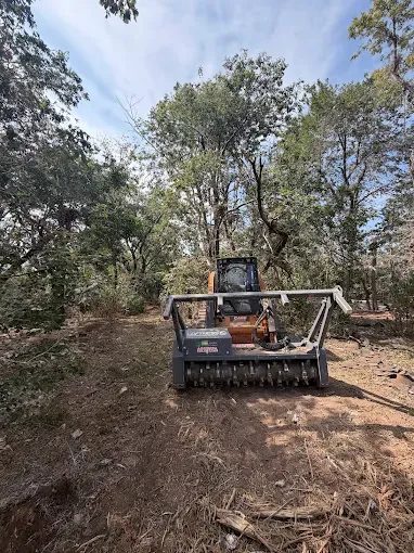 Track loader with a forestry mulching head working a wooded lot