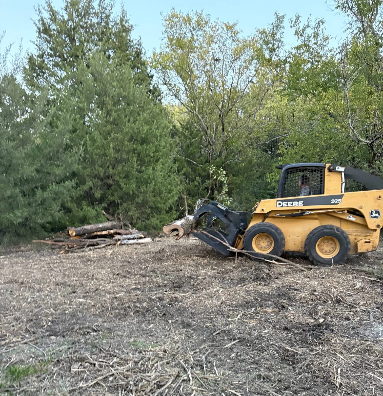Skid steer removing cedar trees and brush piles from a property