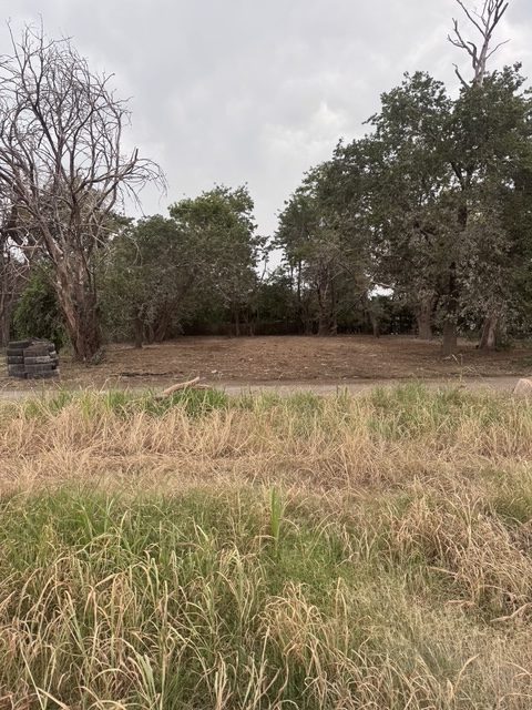 Lot after brush removal with open, usable ground