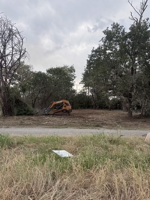 Skid steer clearing brush from a grown-up lot