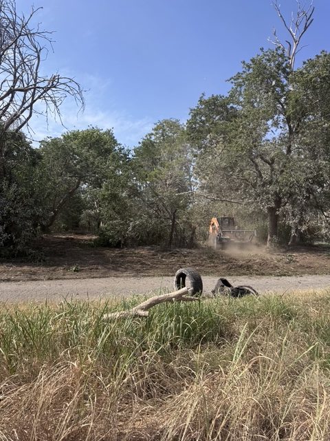 Mulching in progress across an overgrown tract