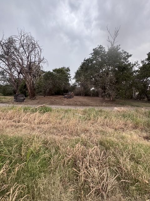 Overgrown lot of tall grass and brush before clearing